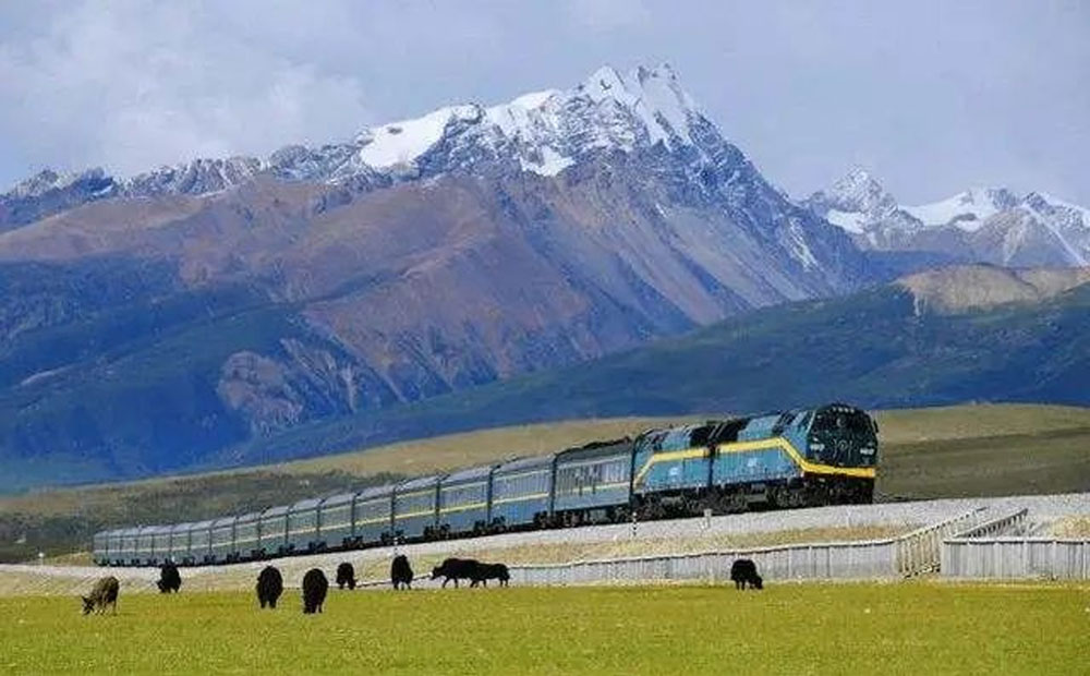 خانه کانتینر پیش ساخته مونتاژی مدرن پیش ساخته مسطح بسته بندی شده برای دفتر مدولار خانه ویلا لایوینگ هتل محل اقامت بیمارستان کارگاه آموزشی مدرسه (4)